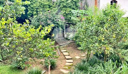 Casa à venda com 3 quartos, sendo 1 suíte,  em Vila Albertina, São Paulo, SP