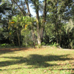 Terreno à venda no condomínio Chácara Flora, São Paulo - SP