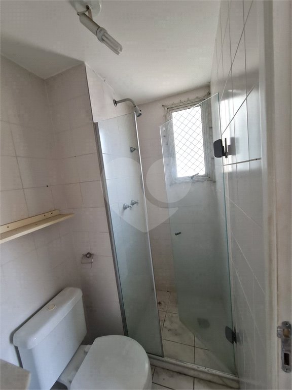 Apartamento à venda com 3 quartos, sendo 1 suíte, em Cambuci, São Paulo, SP