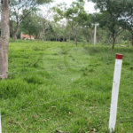 Sitio para venda.