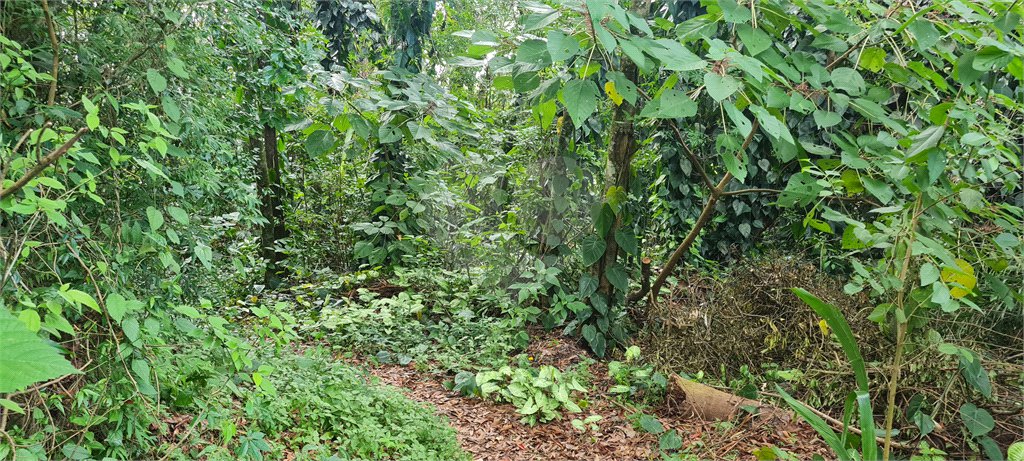 Terreno à venda em Caraguatá, Mairiporã, SP