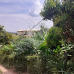 Chácara à venda com 4 quartos, sendo 1 suíte, em Vista Alegre, Vinhedo, SP