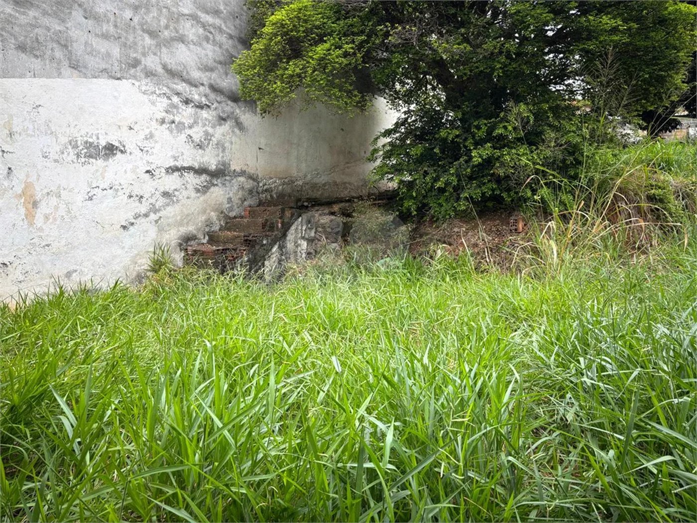 Terreno à venda em Santa Teresinha, São Paulo, SP