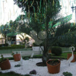 Apartamento à venda com 3 quartos, sendo 1 suíte, em Vila Guilherme, São Paulo, SP