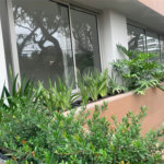 Apartamento à venda com 2 suítes em Vila Madalena, São Paulo, SP