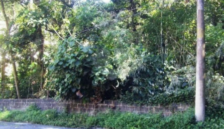 Terreno à venda em Horto Florestal, São Paulo, SP
