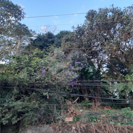 Terreno à venda em Vila Gustavo, São Paulo, SP