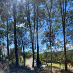 Terreno à venda no condomínio Suíça da Cantareira, Mairiporã - SP