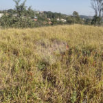 Terreno no Bairro Monterrey