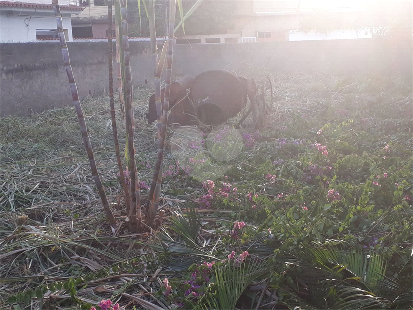 Terreno à venda em Campo Grande, Rio de Janeiro, RJ