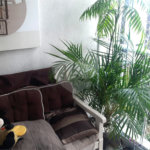 Apartamento à venda com 3 quartos, sendo 1 suíte,  em Vila Paulo Silas, São Paulo, SP