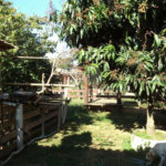 Chácara à venda com 5 quartos em Horto Florestal, São Paulo, SP
