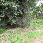 Terreno à venda em Caravelas, Armação dos Búzios, RJ
