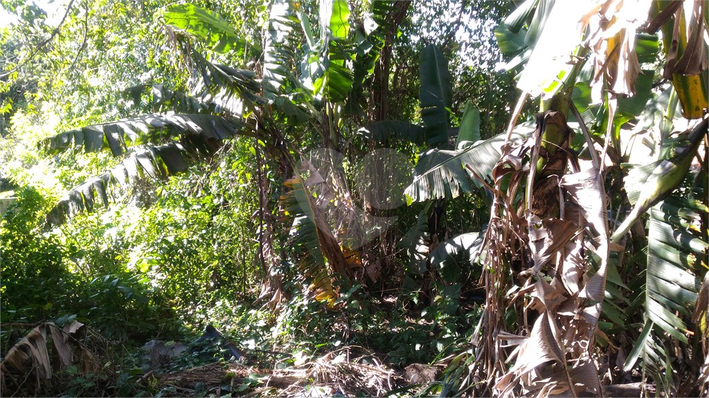 Terreno à venda em Casa Verde, São Paulo, SP