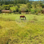 Sítio à venda com 2 quartos em Área Rural de Lagoinha, Lagoinha, SP