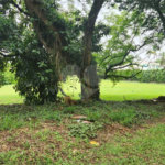 Terreno à venda no condomínio City Castelo, Itu - SP