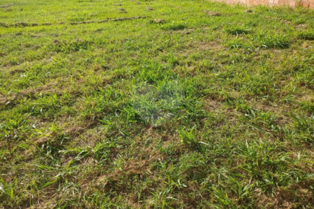 Terreno à venda em Loteamento Residencial Una, Itu, SP