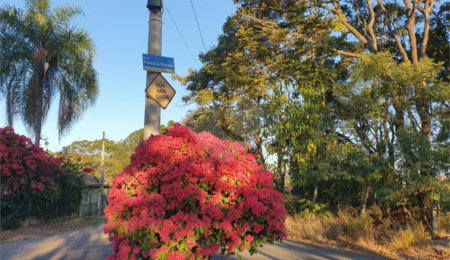 Terreno à venda em Estância Hidromineral Santa Eliza, Itupeva, SP