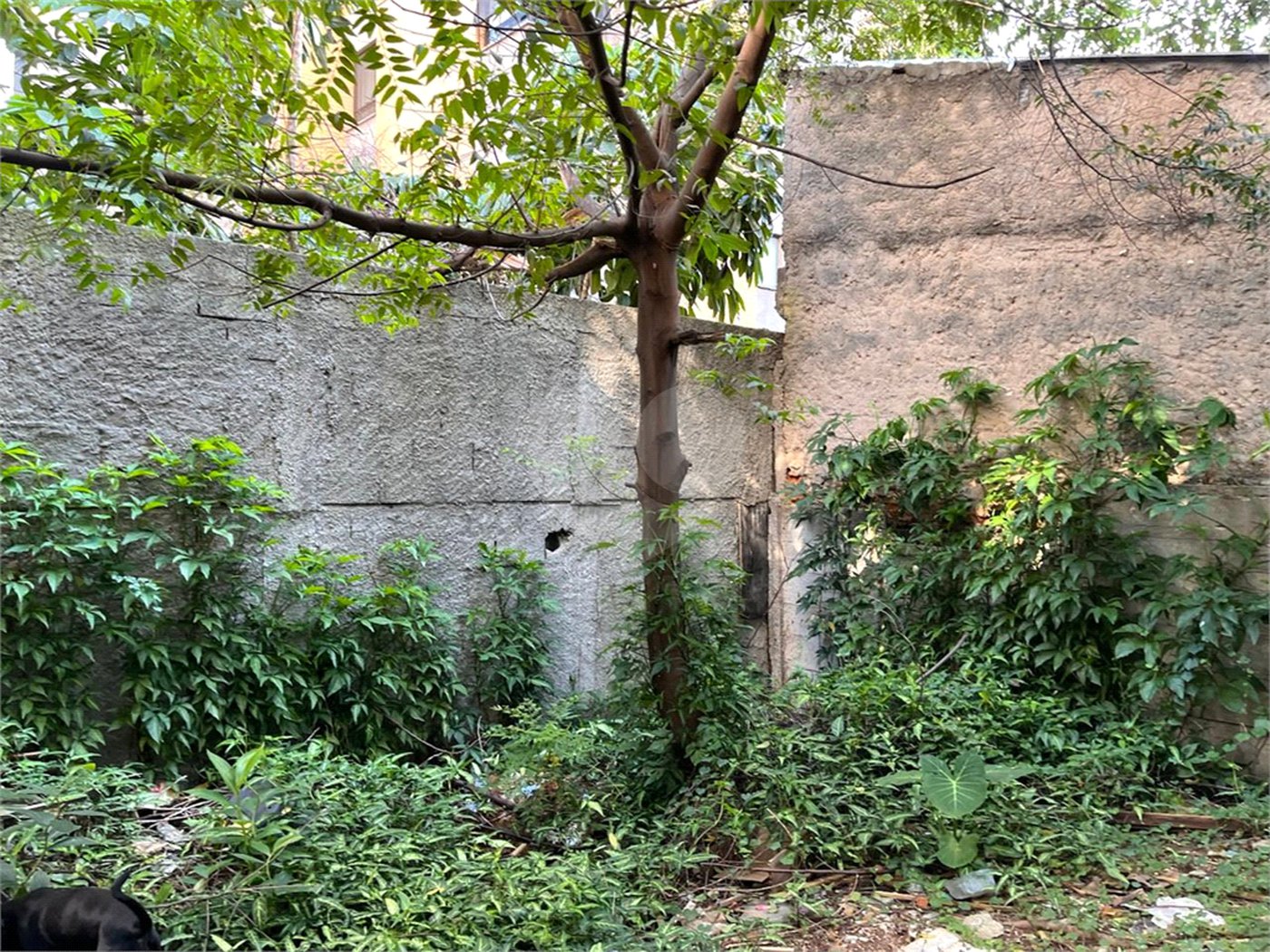 Terreno à venda em Casa Verde, São Paulo, SP
