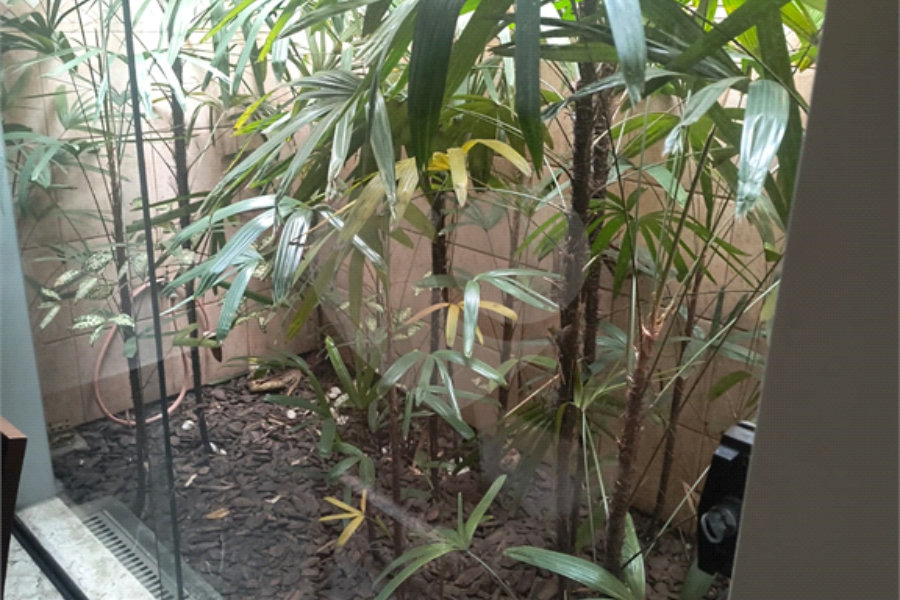 Casa à venda com 3 quartos, sendo 1 suíte,  em Parque Novo Mundo, São Paulo, SP
