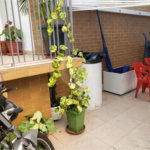Sobrado à venda com 2 quartos em Vila Nova Cachoeirinha, São Paulo, SP