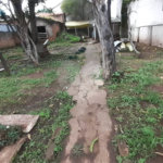 Casa à venda com 3 quartos em Santana, São Paulo, SP