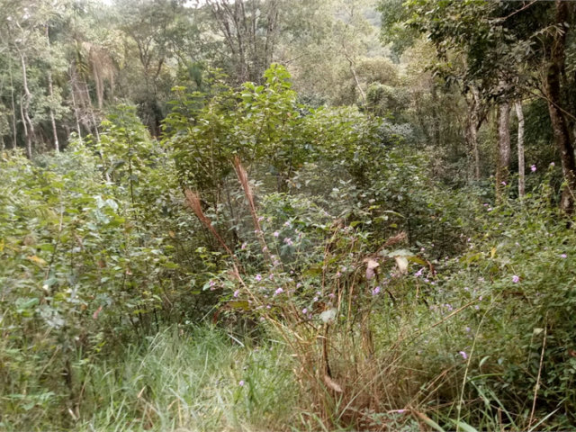 Terreno à venda em Serra da Cantareira, Mairiporã, SP