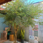 Casa à venda com 2 quartos no condomínio Altos do Boa Vista, São Roque - SP