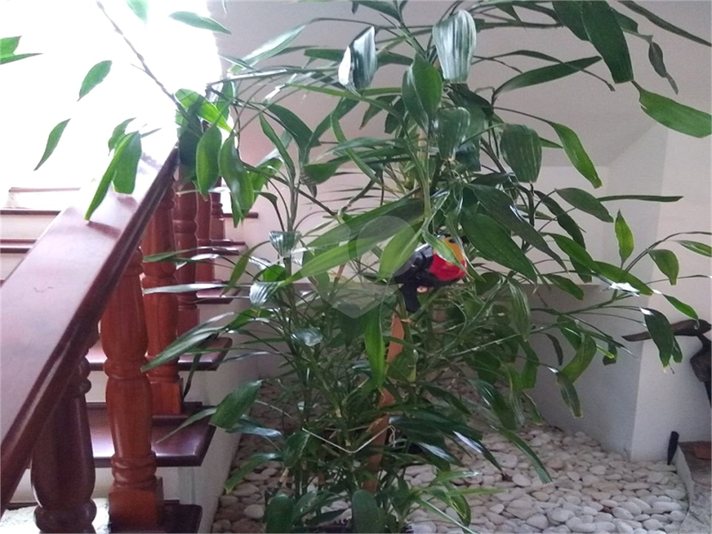 Chácara à venda com 4 suítes em Vale das Laranjeiras, Indaiatuba, SP