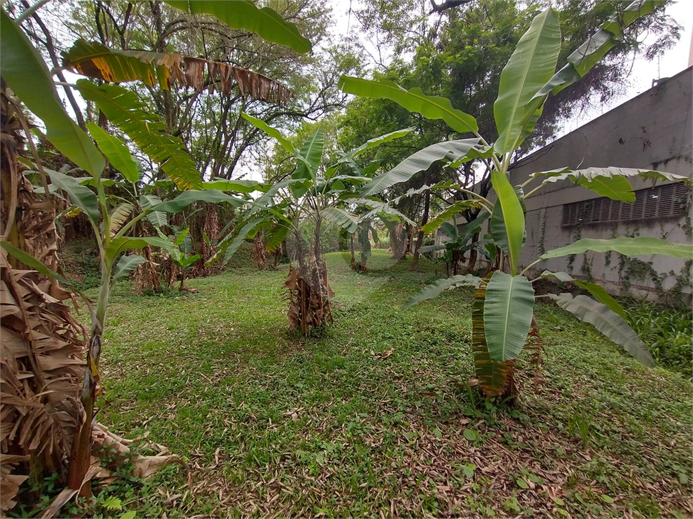 Terreno à venda em Jardim Bela Vista, Guarulhos, SP
