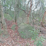 Terreno à venda em Chácaras Alpina, Valinhos, SP