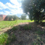Sítio à venda com 2 quartos em Retiro Santana, Itapetininga, SP