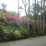 Terreno à venda com 1 suíte no condomínio Chácara Flora, São Paulo - SP