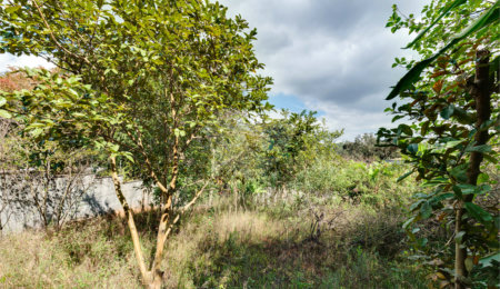 Terreno à venda em Morumbi, São Paulo, SP