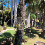 Casa à venda com 3 quartos, sendo 1 suíte,  no condomínio Vinhas da Vista Alegre - Lado Sede, Vinhedo - SP