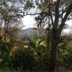Terreno à venda com 3 quartos em Chácara Malota, Jundiaí, SP