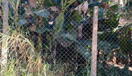 Terreno à venda em Luiz Fagundes, Mairiporã, SP