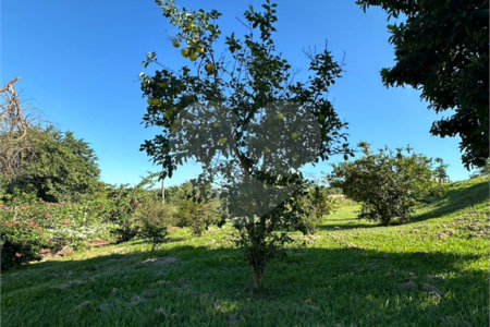 Chácara à venda com 3 quartos, sendo 1 suíte, em Pedro Juan Caballero, Amambay