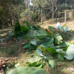 Terreno à venda no condomínio Jardim da Montanha I, Mairiporã - SP