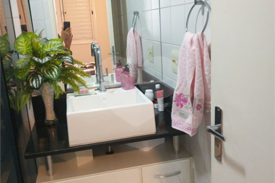Apartamento à venda com 3 quartos, sendo 1 suíte, em Vila Guilherme, São Paulo, SP