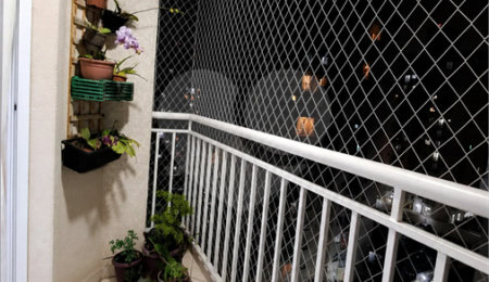 Apartamento à venda com 2 quartos em Jardim Maria Duarte, São Paulo, SP
