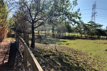 Sítio à venda com 2 suítes em Buru, Salto, SP