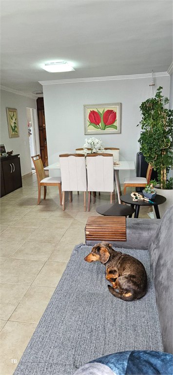 Apartamento à venda com 3 quartos em Limão, São Paulo, SP