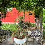 Chácara para alugar com 4 quartos, sendo 2 suítes,  no Centro (canguera), São Roque, SP