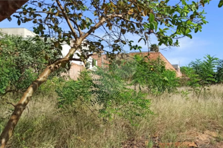 Terreno à venda em Jardim Itaú, Ribeirão Preto, SP
