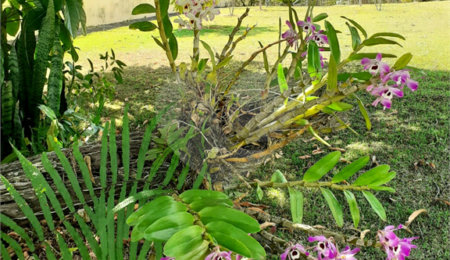 Terreno à venda no condomínio Village de Atibaia, Atibaia - SP
