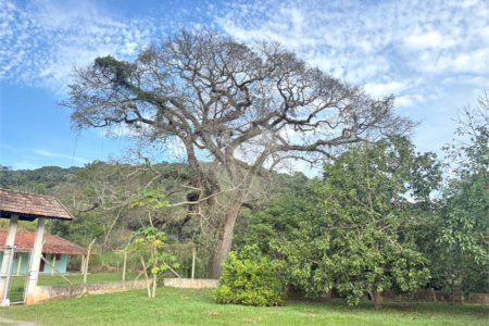Sítio à venda com 3 quartos, sendo 1 suíte, no Centro, Guararema, SP