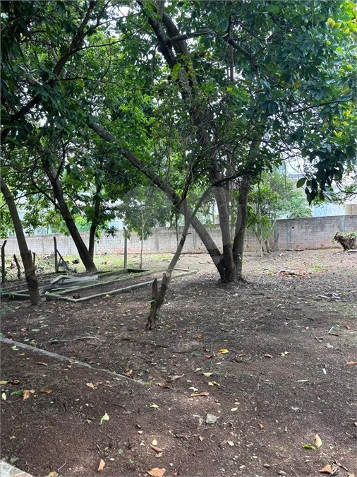 Chácara à venda com 3 quartos, sendo 1 suíte, em Bosque, Vinhedo, SP