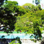 Sobrado à venda com 3 quartos, sendo 1 suíte, em Jardim Prudência, São Paulo, SP
