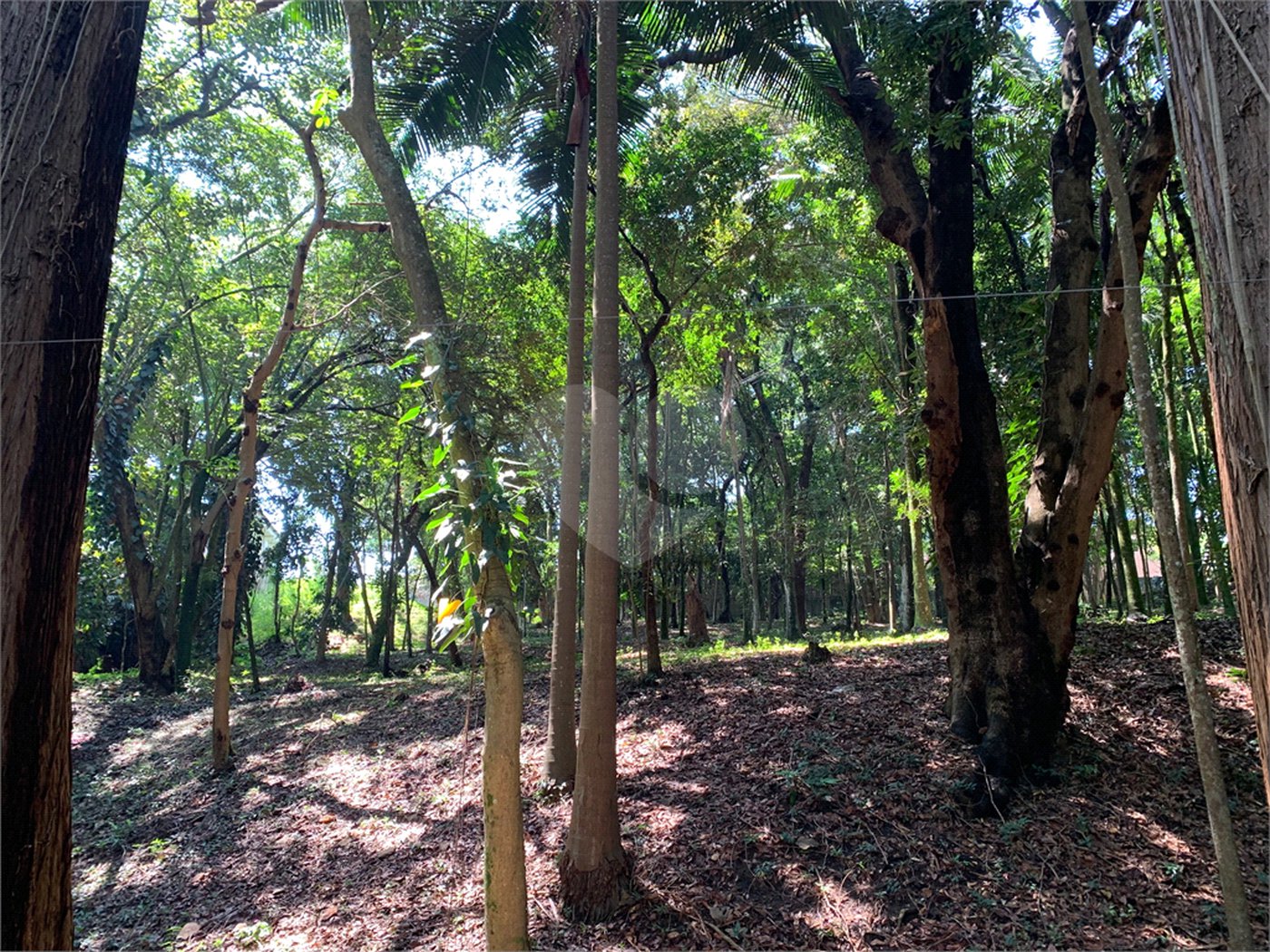 Terreno à venda no condomínio Chácara Flora, São Paulo - SP